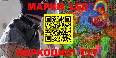 Альфа ПВП Кандалакша