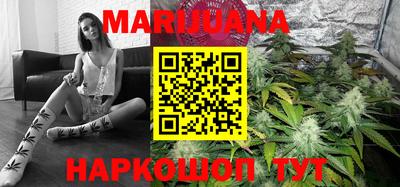 Альфа ПВП Кандалакша